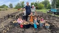 Как фермерская семья из Чувашии увеличила урожай овощей на 550 тонн: секреты успеха в 2026 году